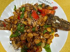 -煲来饱去冷水鱼