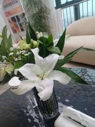 -HEYAN荷妍专业脱毛连锁机构