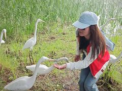 -溱湖国家湿地公园