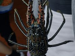 -班赞海鲜市场