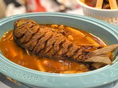 -阿五黄河大鲤鱼(海尚店)