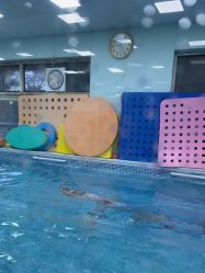 -鱼乐贝贝婴幼儿水育馆(高桥红坊店)