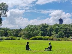 -宜兴龙背山森林公园