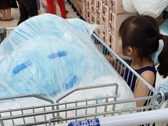 -盒马X会员店(上海森兰商都店)