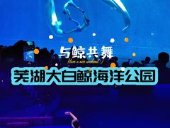 -芜湖新华联大白鲸海洋公园