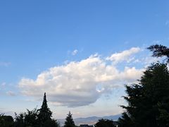 -洱海月湿地公园