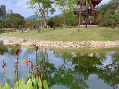 -四海公园(南山区)