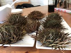 -海胆小馆(东北水饺·春柳店)