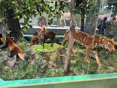 -国家自然博物馆