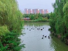 -洛阳市隋唐城遗址植物园