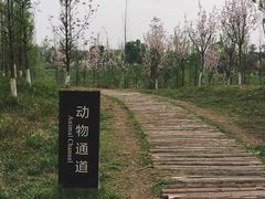 -白鹭湾湿地公园