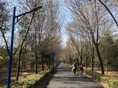 -森林公园(尖草坪区)