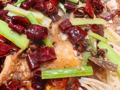 -老板恋上鱼(印象城店)