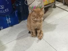 -谭记水煮总店