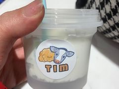 -Tim炒酸奶