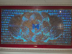 -上海昆虫博物馆