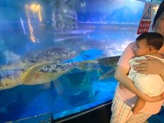 -烟台海昌鲸鲨海洋公园