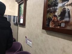 -宠爱国际动物医院· 猫科· 外科·中兽医(长白店)