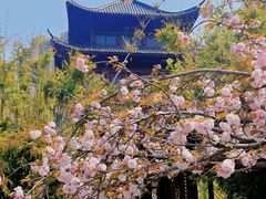 -堤角公园