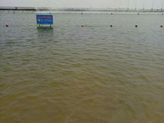 -碧海金沙