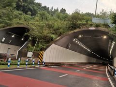 -大渡口区义渡公园