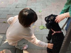 -豆舞咖啡(民乐路店)