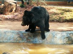 -昆明动物园