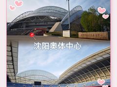 -沈阳奥林匹克体育中心