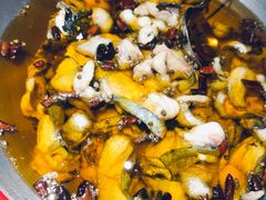 -雲蜀龙阁·金牌水煮鱼(方庄店)