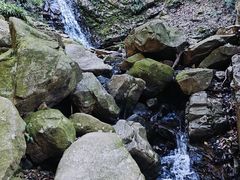 -波尔登森林公园