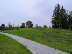 -两河城市森林公园