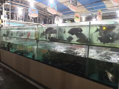 -绿雅居原生态农庄(小涌店)