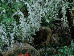 -中国茶叶博物馆(双峰馆区)