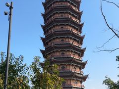 -葛仙湖公园