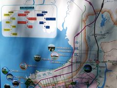 -北海金海湾红树林生态旅游区