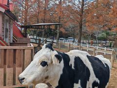 -神户市立六甲山牧场