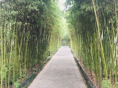 -唐城墙遗址公园