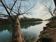 -西溪国家湿地公园