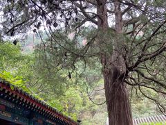 -仙居谷风景区
