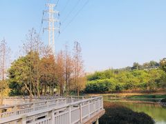 -广东花都湖国家湿地公园