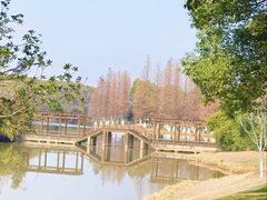 -艾溪湖湿地公园