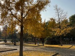 -太阳宫公园