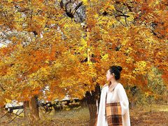 -长白岛森林公园
