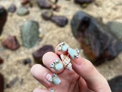 -广东惠东海龟国家级自然保护区