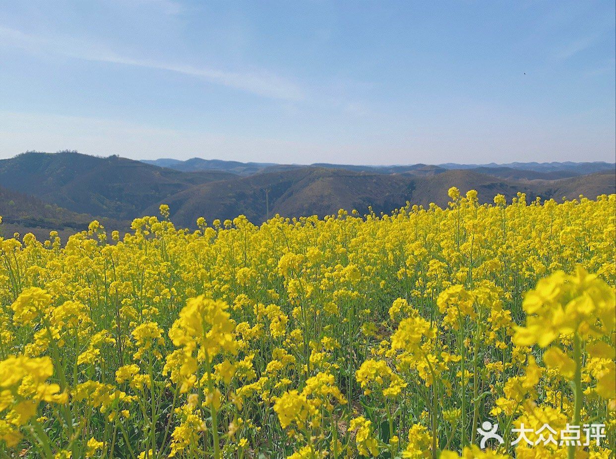 5304010152555304我的人间记录延安南沟