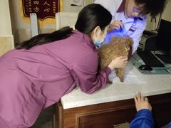 -宠爱国际动物医院·消化内科·心肾内科·ISFM猫友好(望京店)