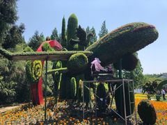 -东平国家森林公园