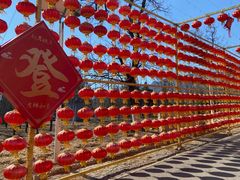 -北京凤凰岭