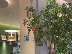 -Aqua Oasis 水天堂(太湖中心mall店)