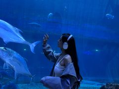 -华夏文旅海洋公园